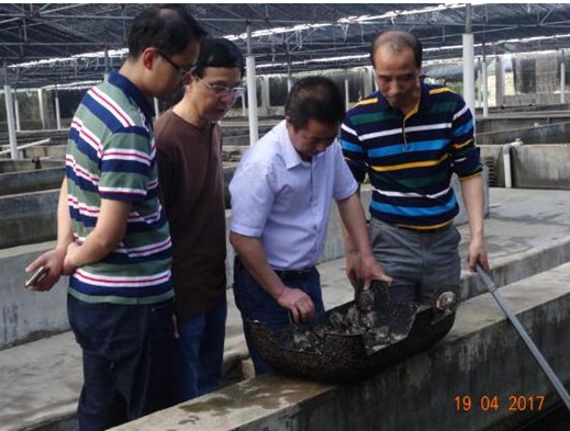 福建省水产技术推广总站开展春季鲍鱼生产及病害防控情况调研