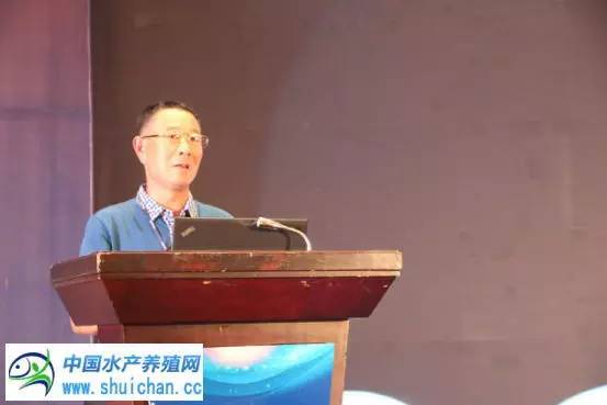 这七个水产养殖新模式，才是未来发展的方向