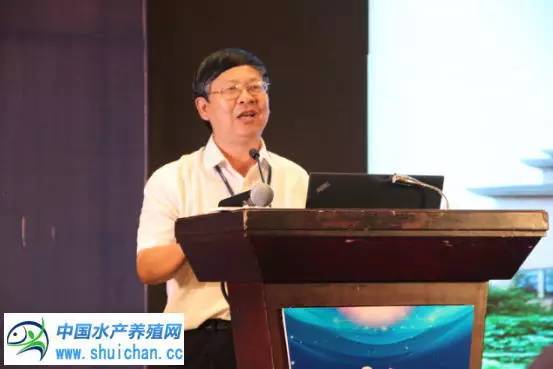 这七个水产养殖新模式，才是未来发展的方向