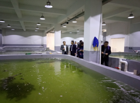 南平市科技局莅核心区考察指导