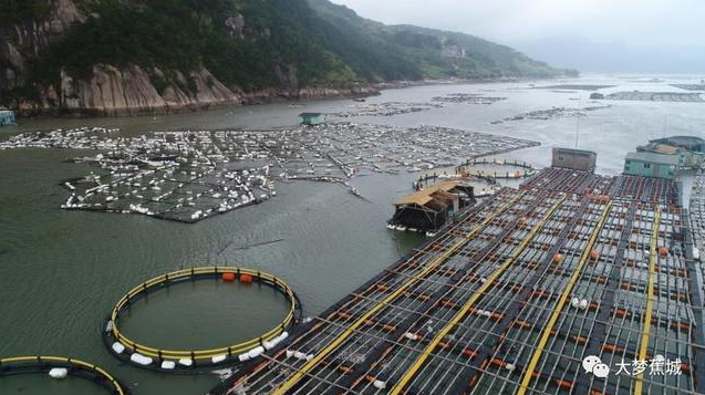 傾城之力，重编“海上浮城”“再生密码”……