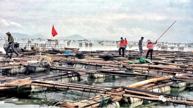 傾城之力，重编“海上浮城”“再生密码”……