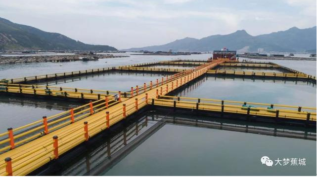 傾城之力，重编“海上浮城”“再生密码”……