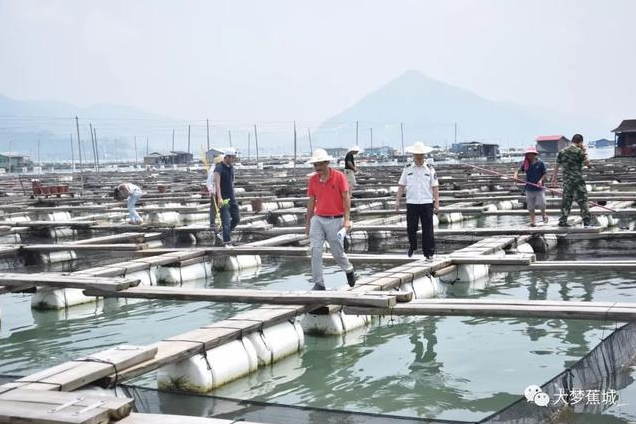 傾城之力，重编“海上浮城”“再生密码”……