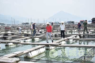 海域整治“亮剑”共护海洋生态