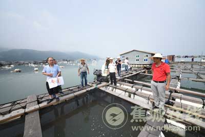 海域整治“亮剑”共护海洋生态