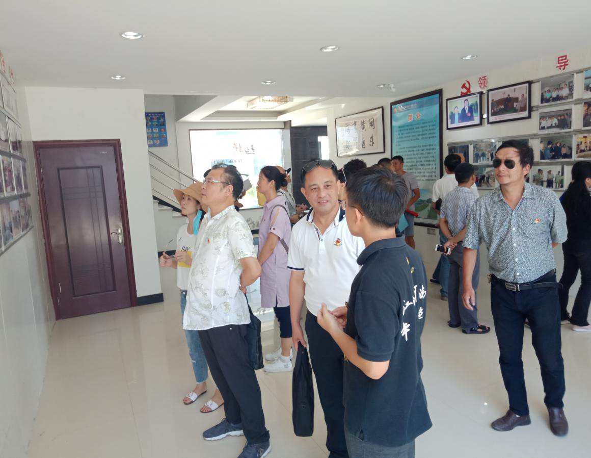 宁德市蕉城区发展和改革局党支部与我公司党支部开展支部共建活动