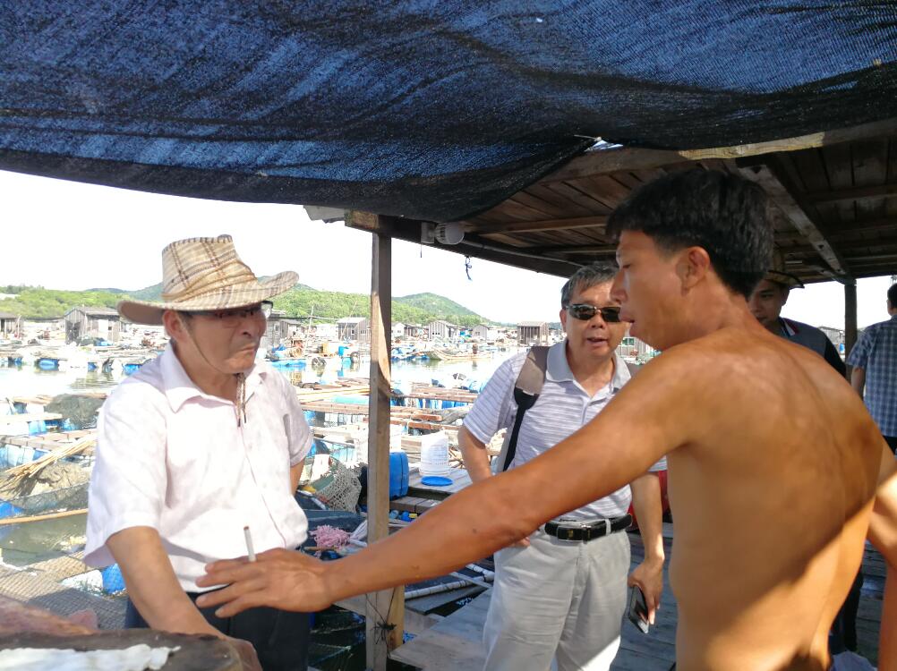大黄鱼育种国家重点实验室专家一行赴饶平、诏安两地考察调研