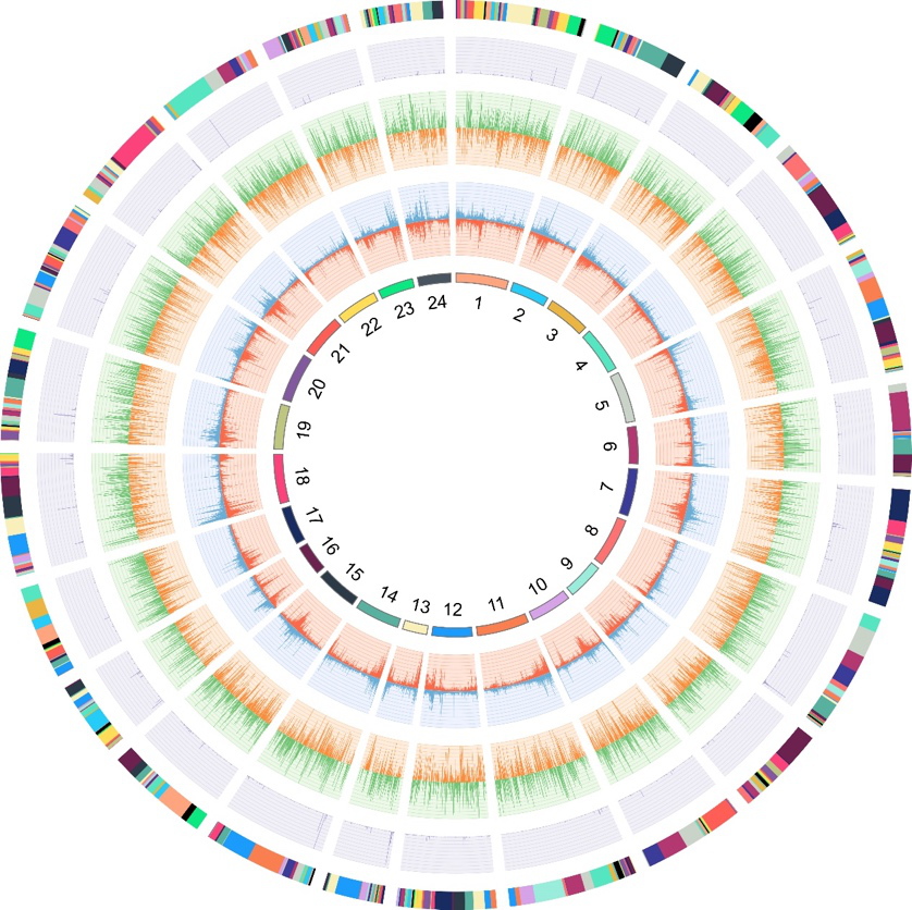 宁德市富发水产有限公司完成染色体级别的大黄鱼基因组序列图谱绘制