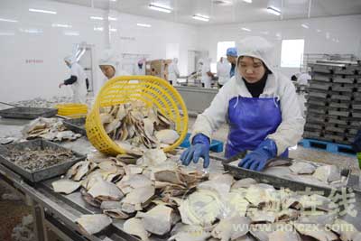 特色产业助力区域经济发展