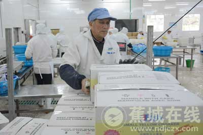 特色产业助力区域经济发展