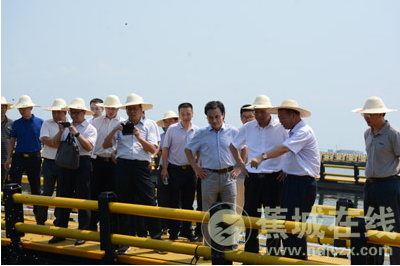 市领导莅蕉督查海上整治工作