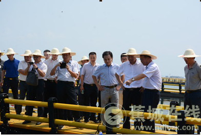 市领导莅蕉督查海上整治工作