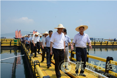市领导莅蕉督查海上整治工作