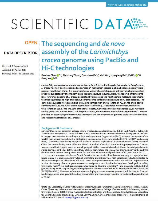 大黄鱼育种国家重点实验室正式发表染色体级别大黄鱼基因组图谱
