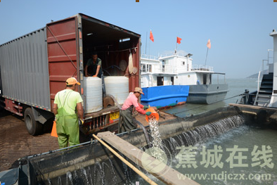 三都海域251万尾黑鲷鱼苗回归海洋