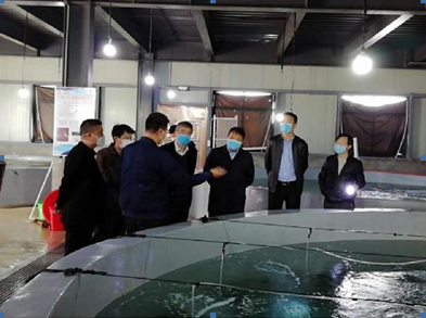 省局钟声副局长赴我市蕉城区调研指导水产企业复工复产