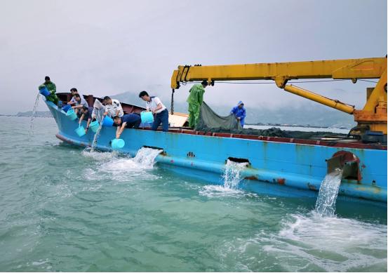 我局举办“6·6八闽放鱼日”大黄鱼原种子一代苗种增殖放流活动