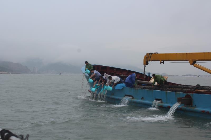 富发公司参与开展2020年大黄鱼增殖放流活动