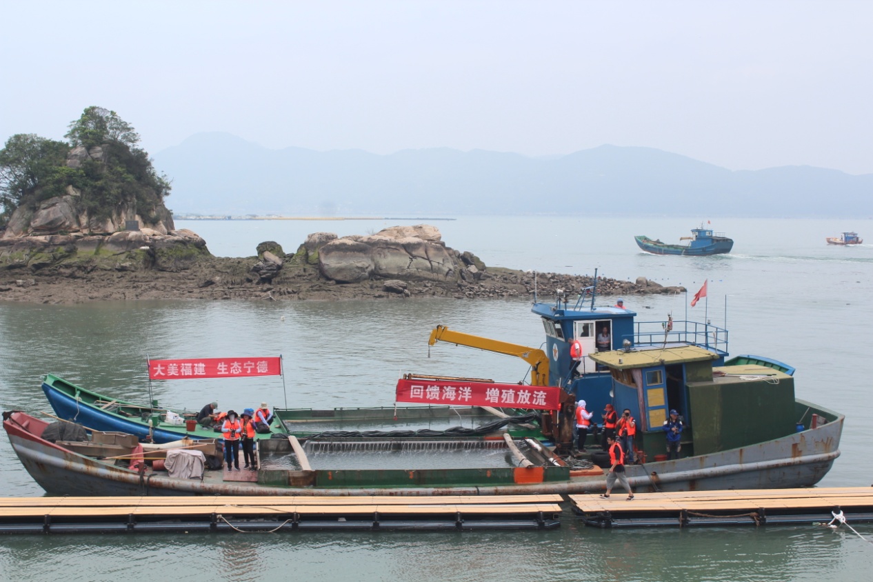 富发公司参与开展“回馈海洋 增殖放流”活动