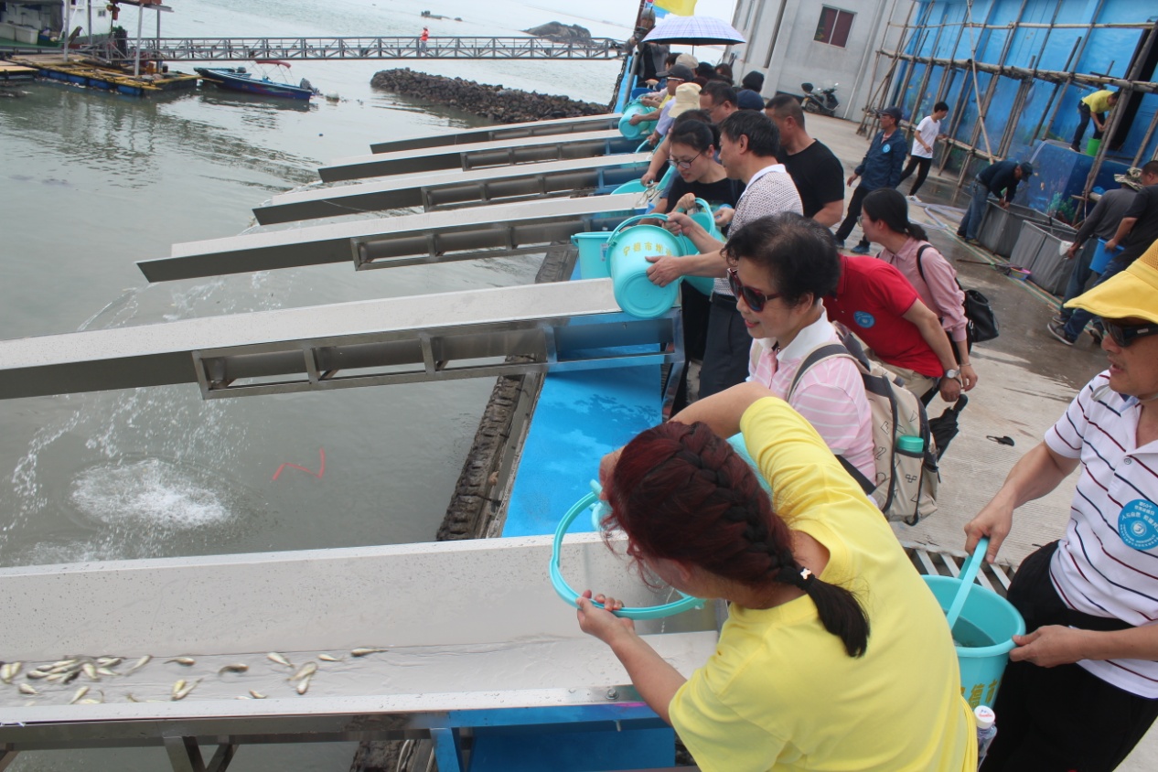 富发公司参与开展“回馈海洋 增殖放流”活动